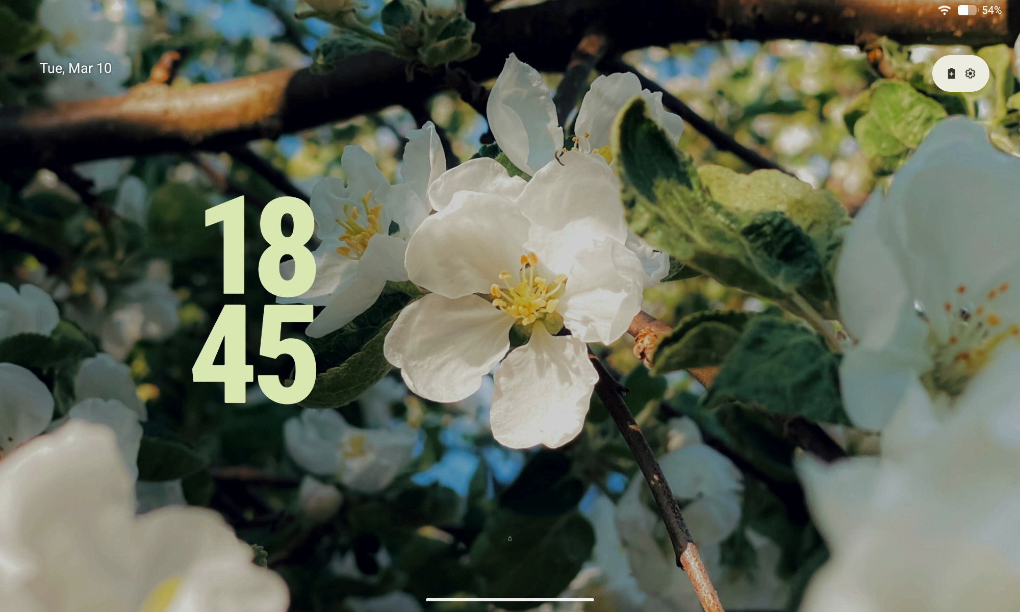 Screenshot of Android 16's lock screen on a tablet, which looks similar to Android 12's lock screen - Tawnsent